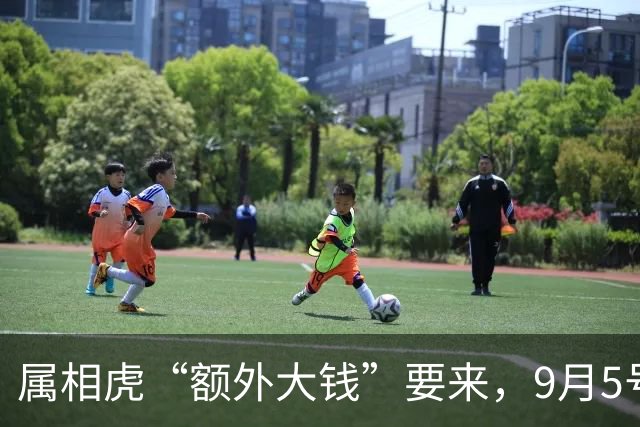 属相虎“额外大钱”要来，9月5号后务必准备好，不然后悔一辈子